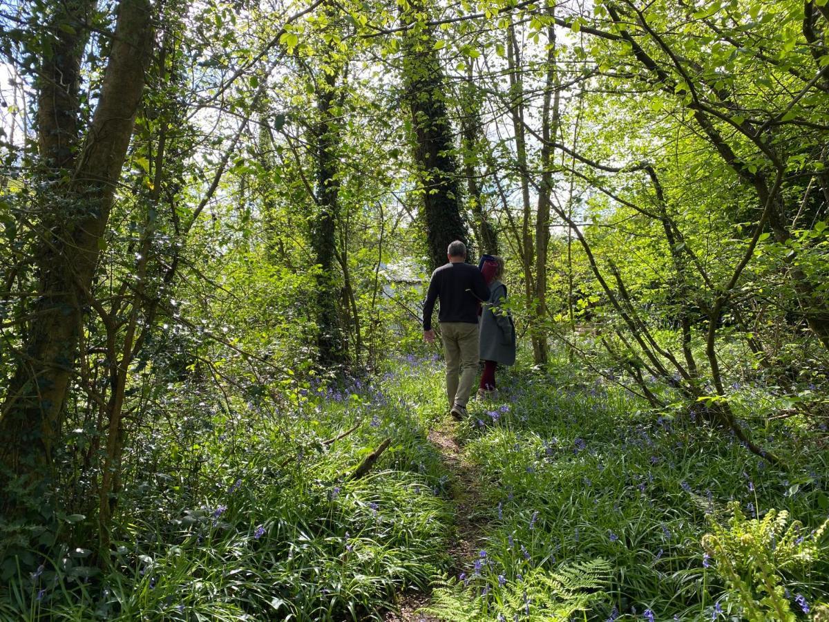 Blackhill Woods Retreat Abbeyleix Kültér fotó