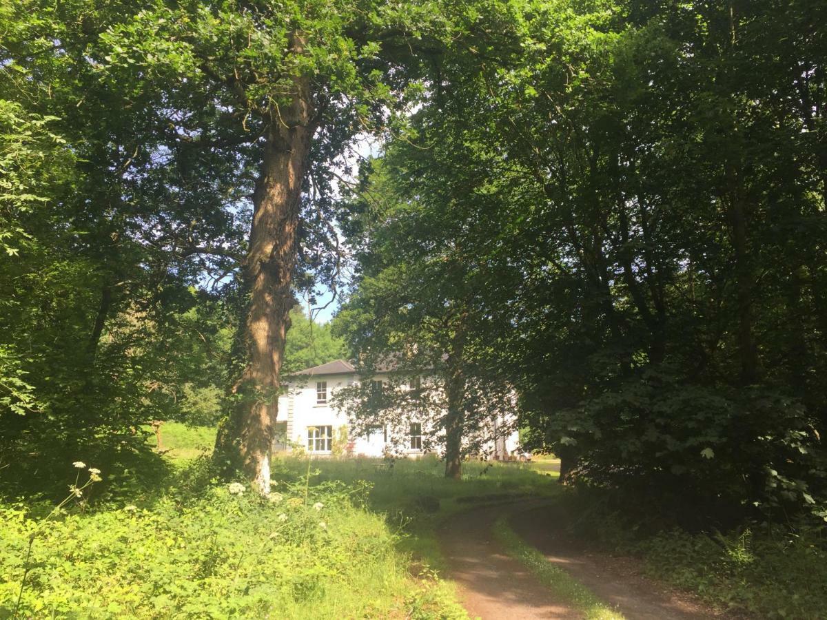 Blackhill Woods Retreat Abbeyleix Kültér fotó